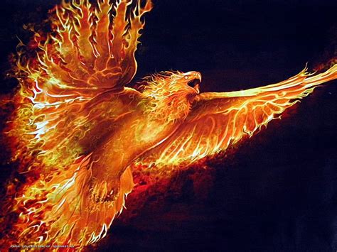 Phoenix Fire brabet